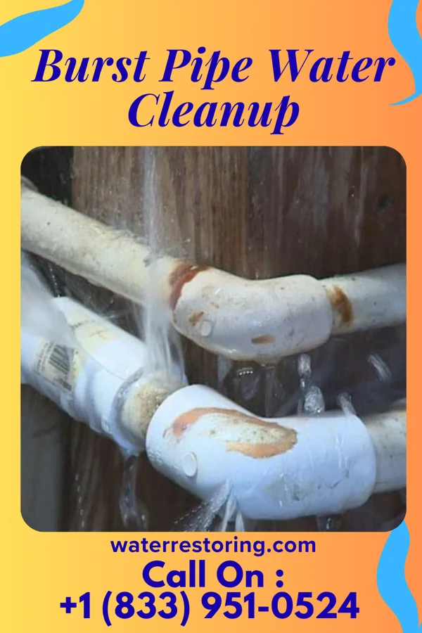 Burst Pipe Water Cleanup in Greens Landing, PA