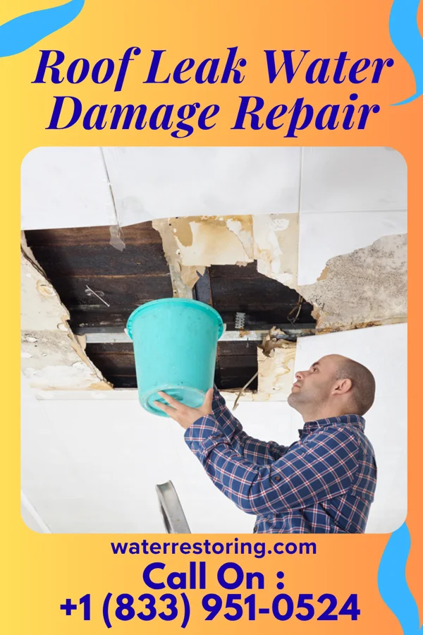 Roof Leak Water Damage Repair in Greens Landing, PA