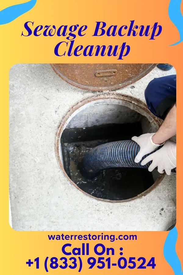Sewage Backup Cleanup in Greens Landing, PA